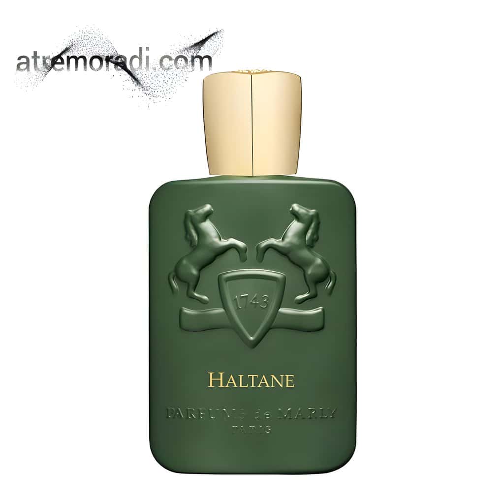 خرید عطر مشابه هالتان مارلی مردانه